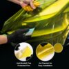 Golden Yellow Headlight Tint-003