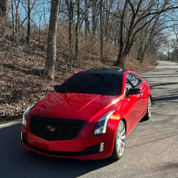 True Blood Vinyl Wrap