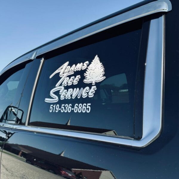 DEKA-Vinyl Lettering-005